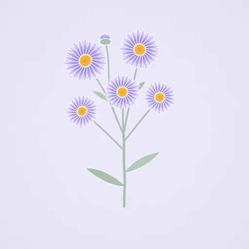 紫菀