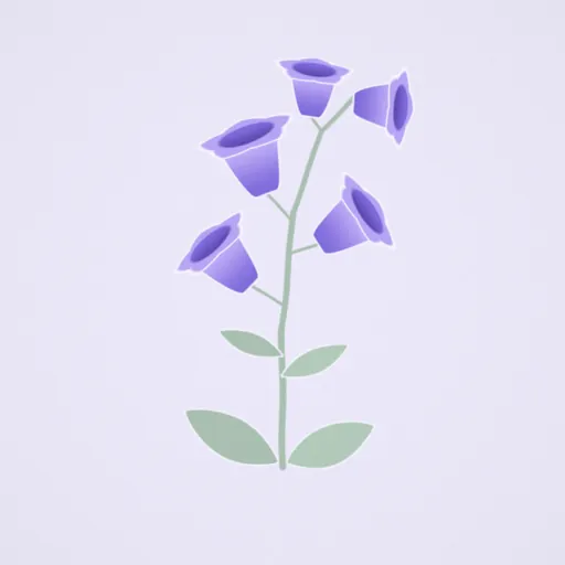 風鈴草