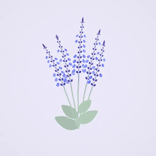 藍花鼠尾草