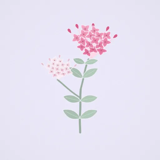 寒丁子