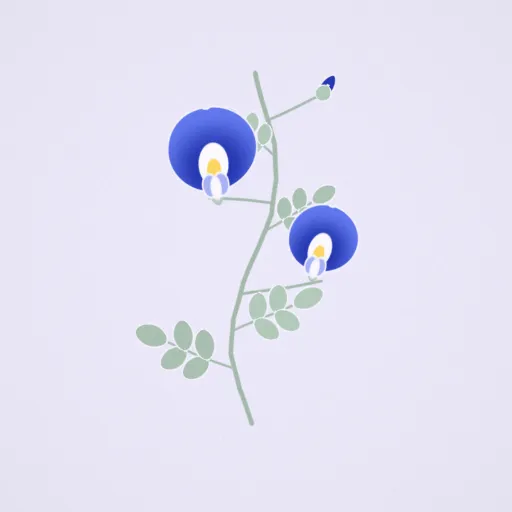 蝶豆花