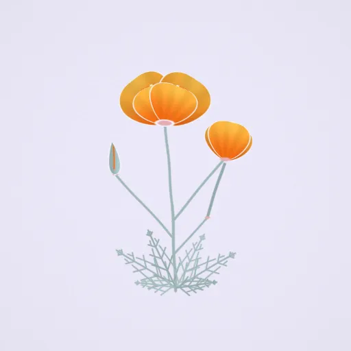 花菱草