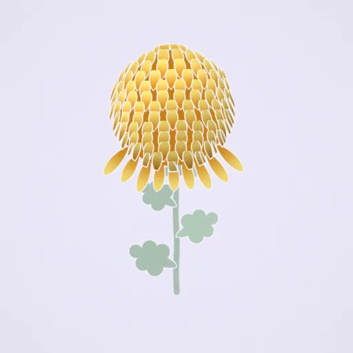 厚物菊