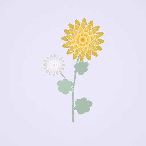 菊花