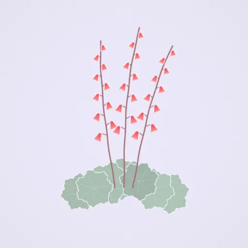 珊瑚鐘