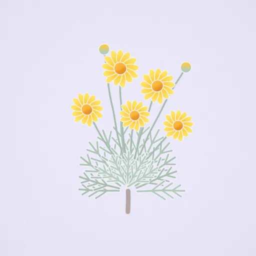黃金菊