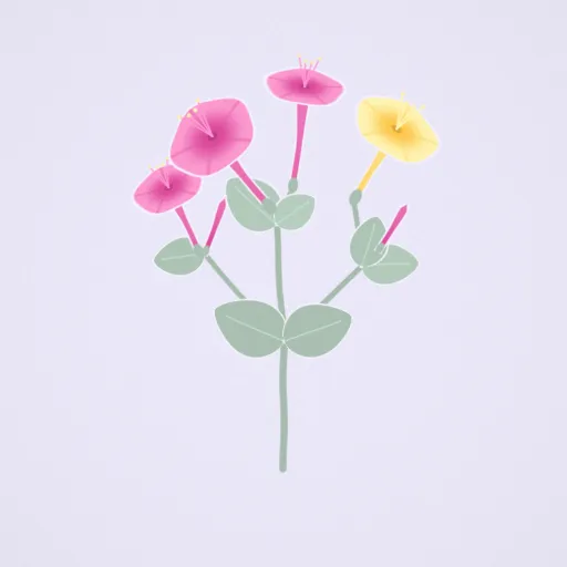 紫茉莉