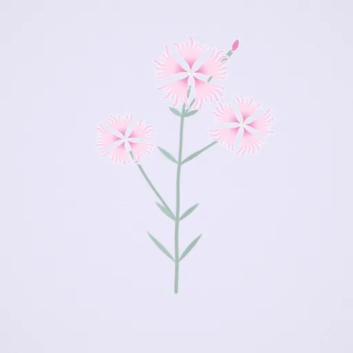 カワラナデシコ