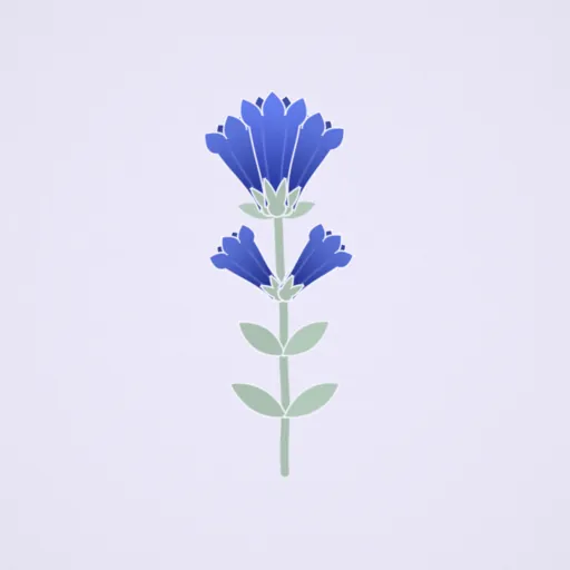 Gentian
