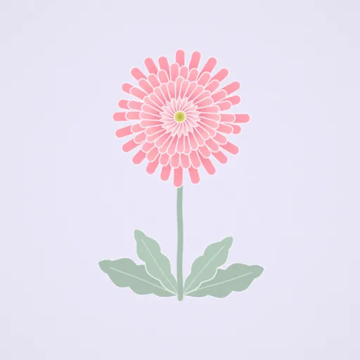 重瓣非洲菊