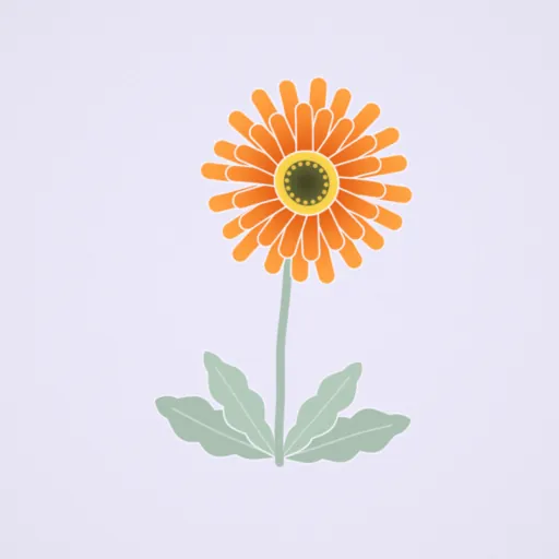 非洲菊
