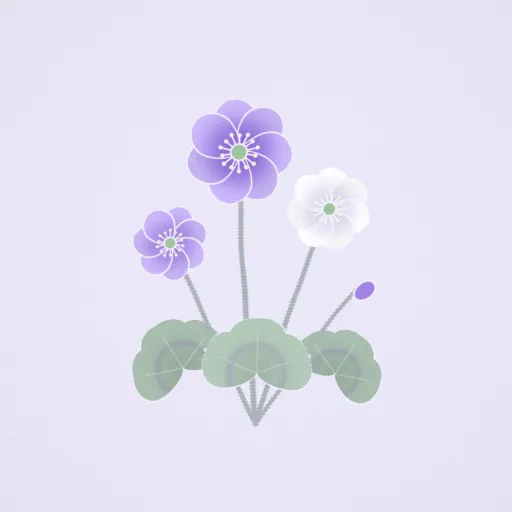 雪割草