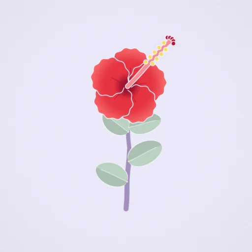 扶桑花