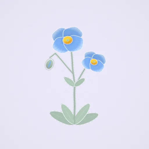 藍罌粟