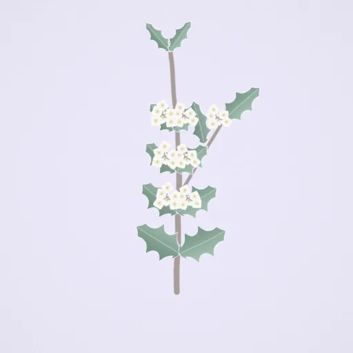 柊樹