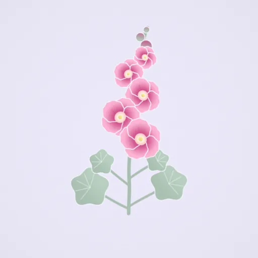 蜀葵