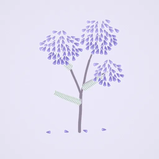 藍花楹