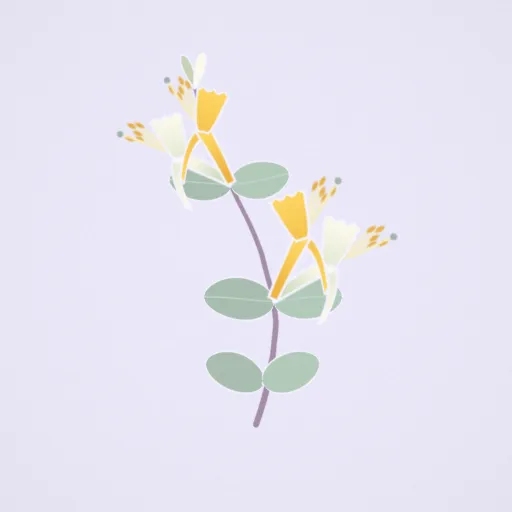 金銀花