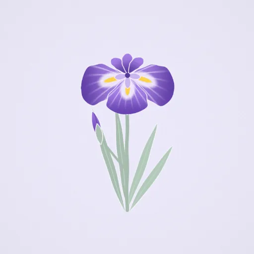 花菖蒲