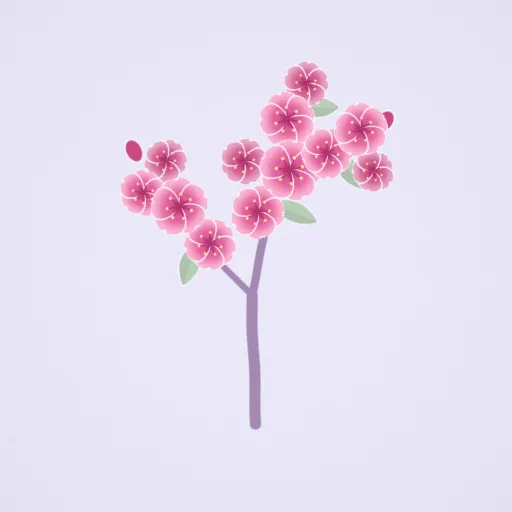 Kawazu cherry