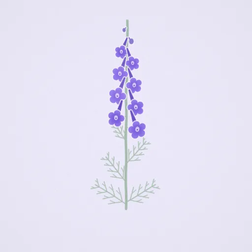 Larkspur