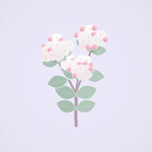 地中海莢蒾