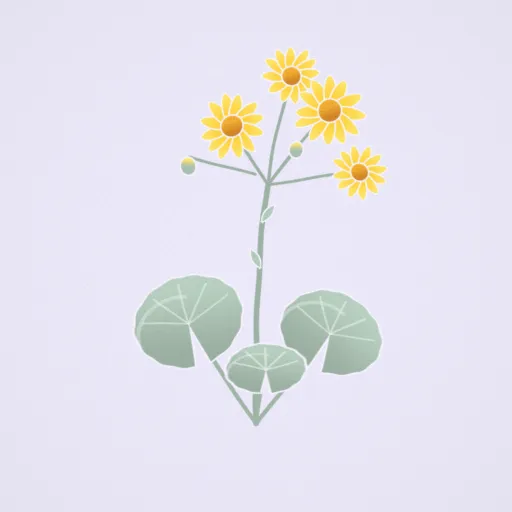 大吳風草