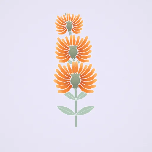 獅耳花