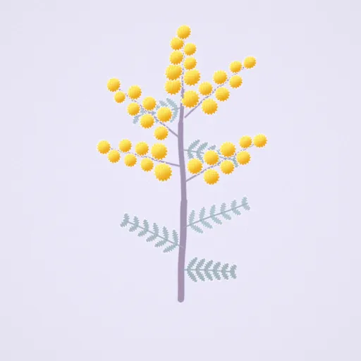 ミモザ