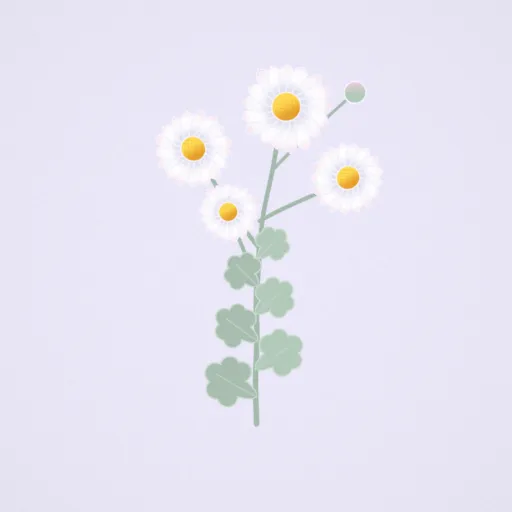 野路菊