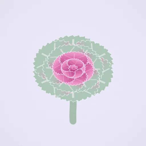 羽衣甘藍