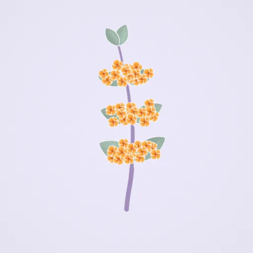 桂花