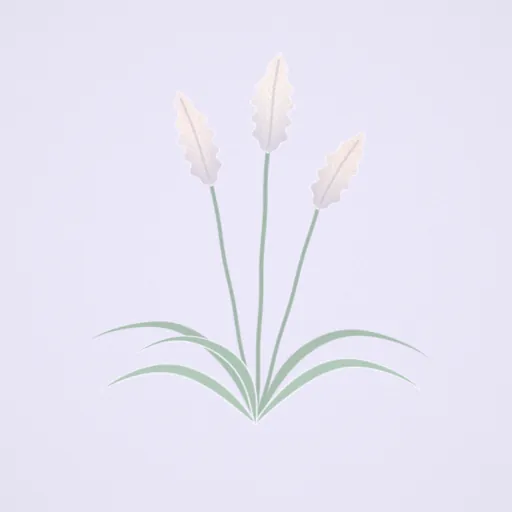 芒草