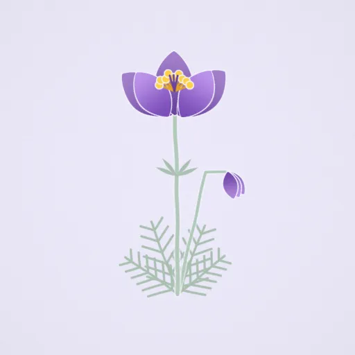 白頭翁