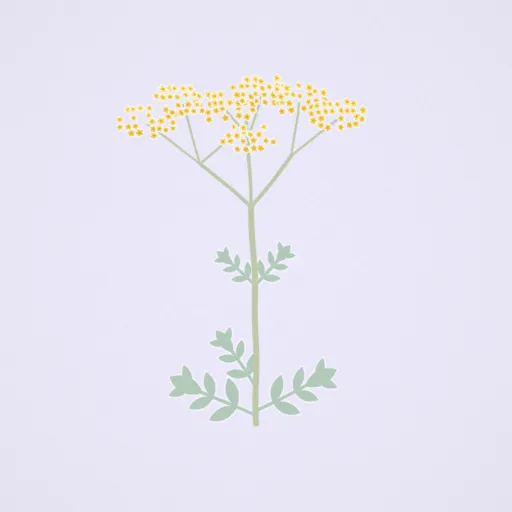 黃花敗醬