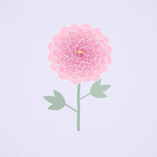 牡丹