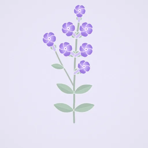 Philippine violet
