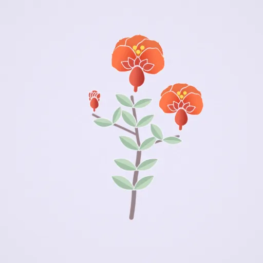 石榴花