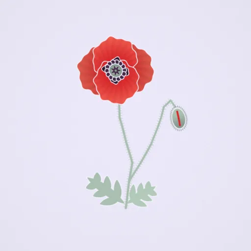 罌粟