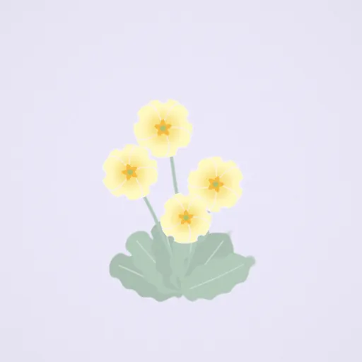 報春花