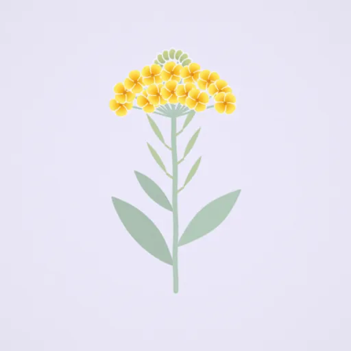 菜の花