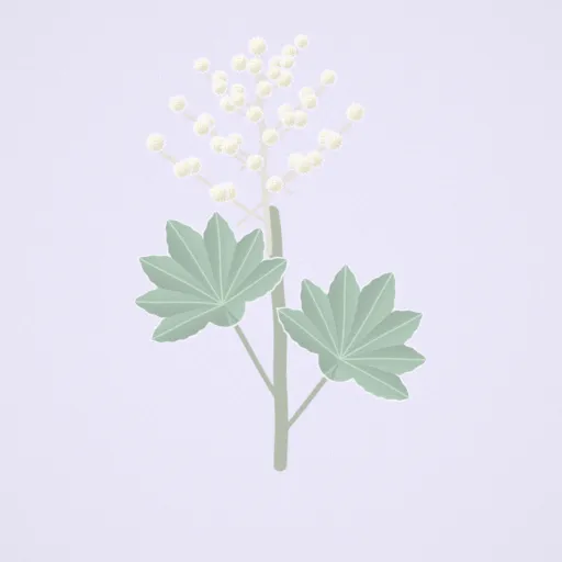 蓪草