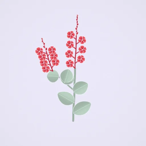 紅花丹