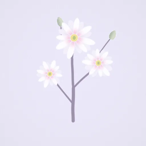星花木蘭