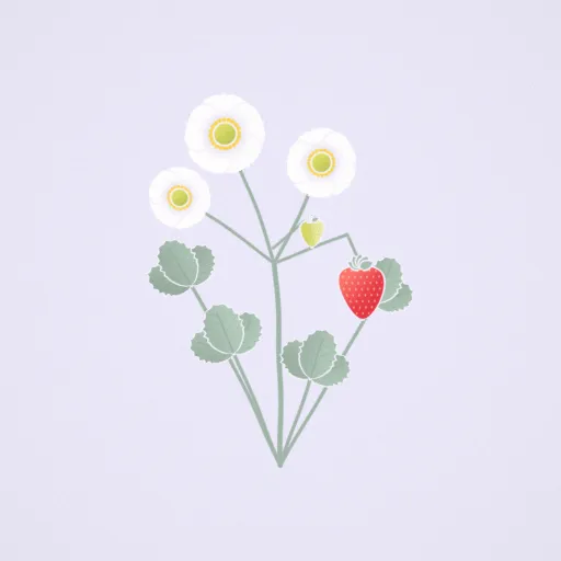 草莓花