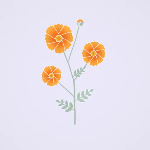 黃波斯菊