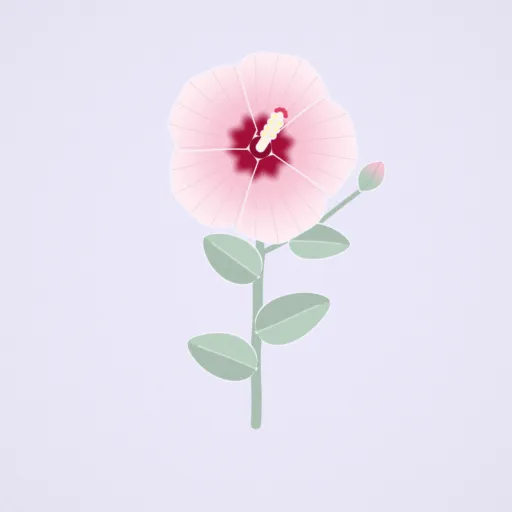 芙蓉葵