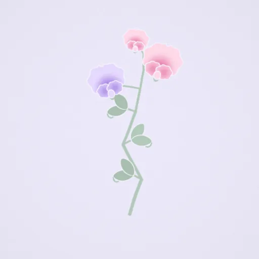 香豌豆
