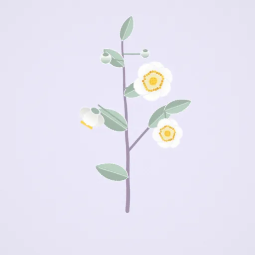 チャノキの花