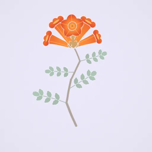 凌霄花